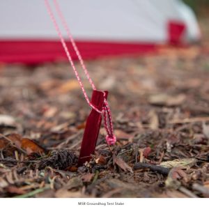 MSR Groundhog Stake